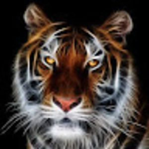 Meet your Posher, Russ